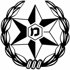 משטרת ישראל